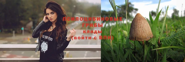 таблы Козловка