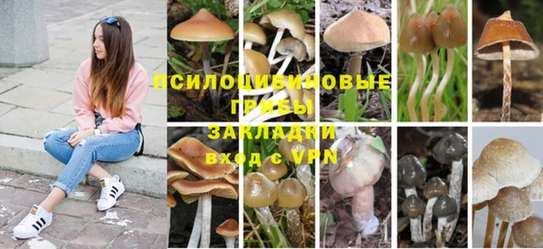 гашиш Кодинск