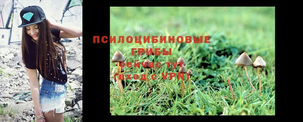 таблы Козловка