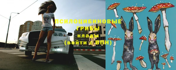 таблы Козловка