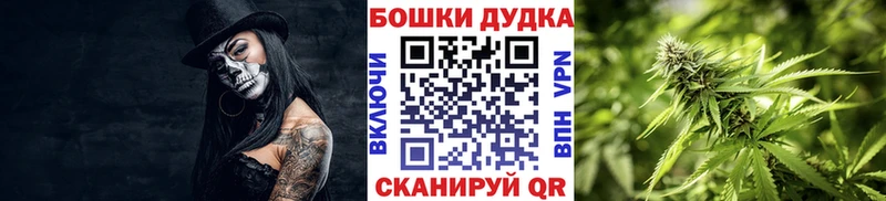 Конопля план  Купить  Ишимбай 